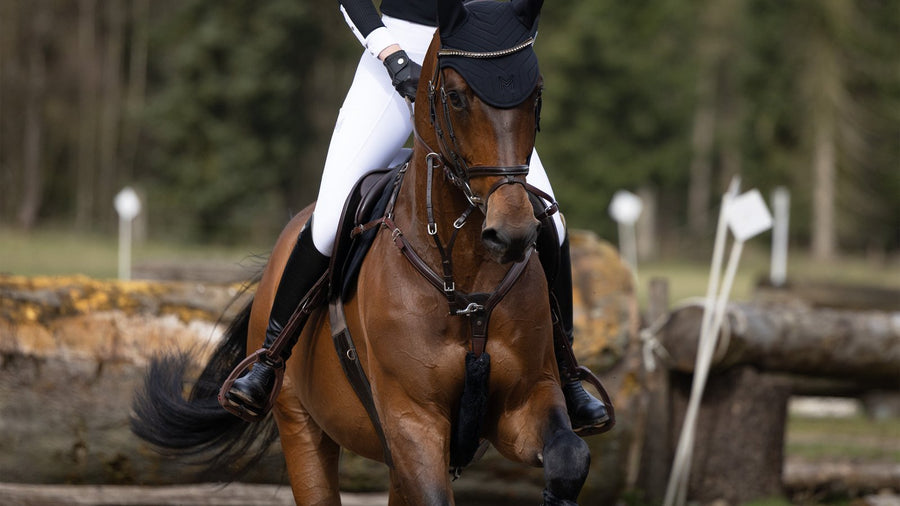 Leggings & Breeches