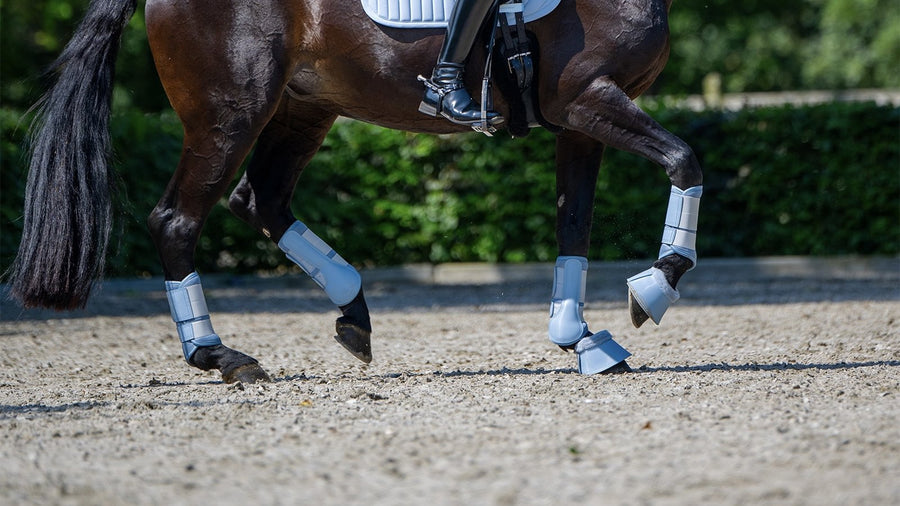 Brushing Boots